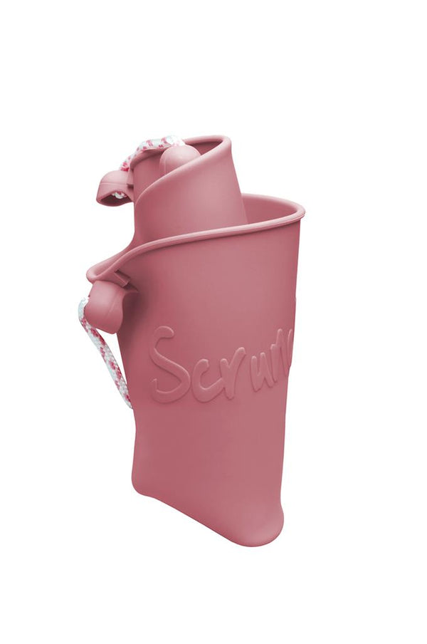 Old Rose Bucket