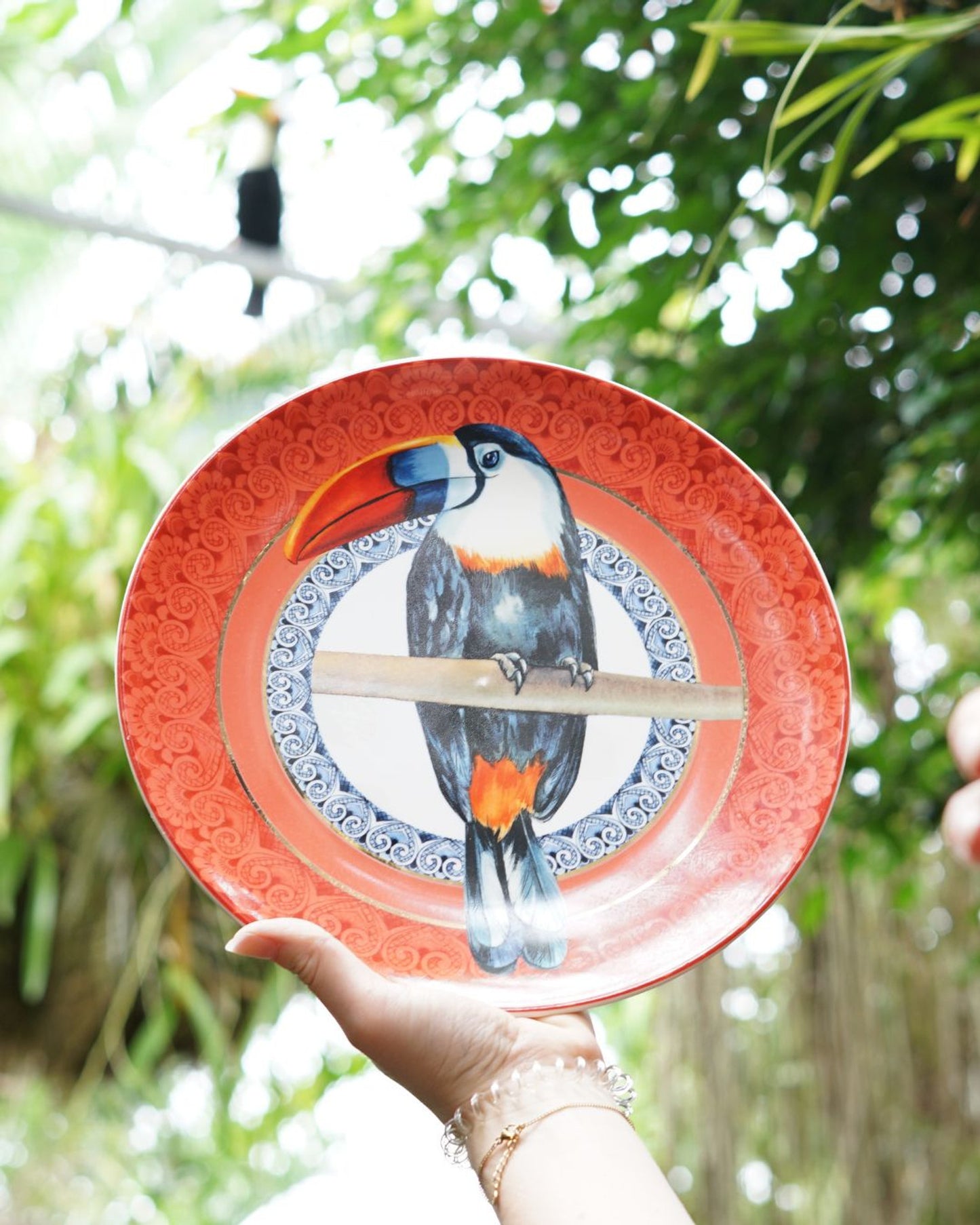 Assiette Murale Mandala Toucan