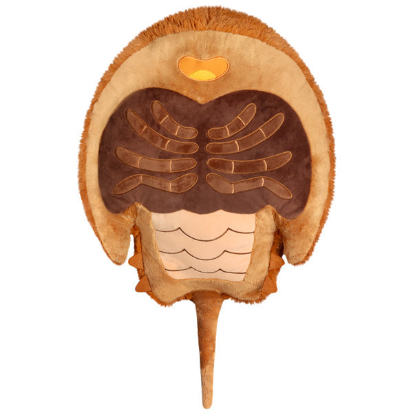Peluche Squishable – Horseshoe Crabe