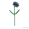BRIXIES Plus Flowers Sea Lavender