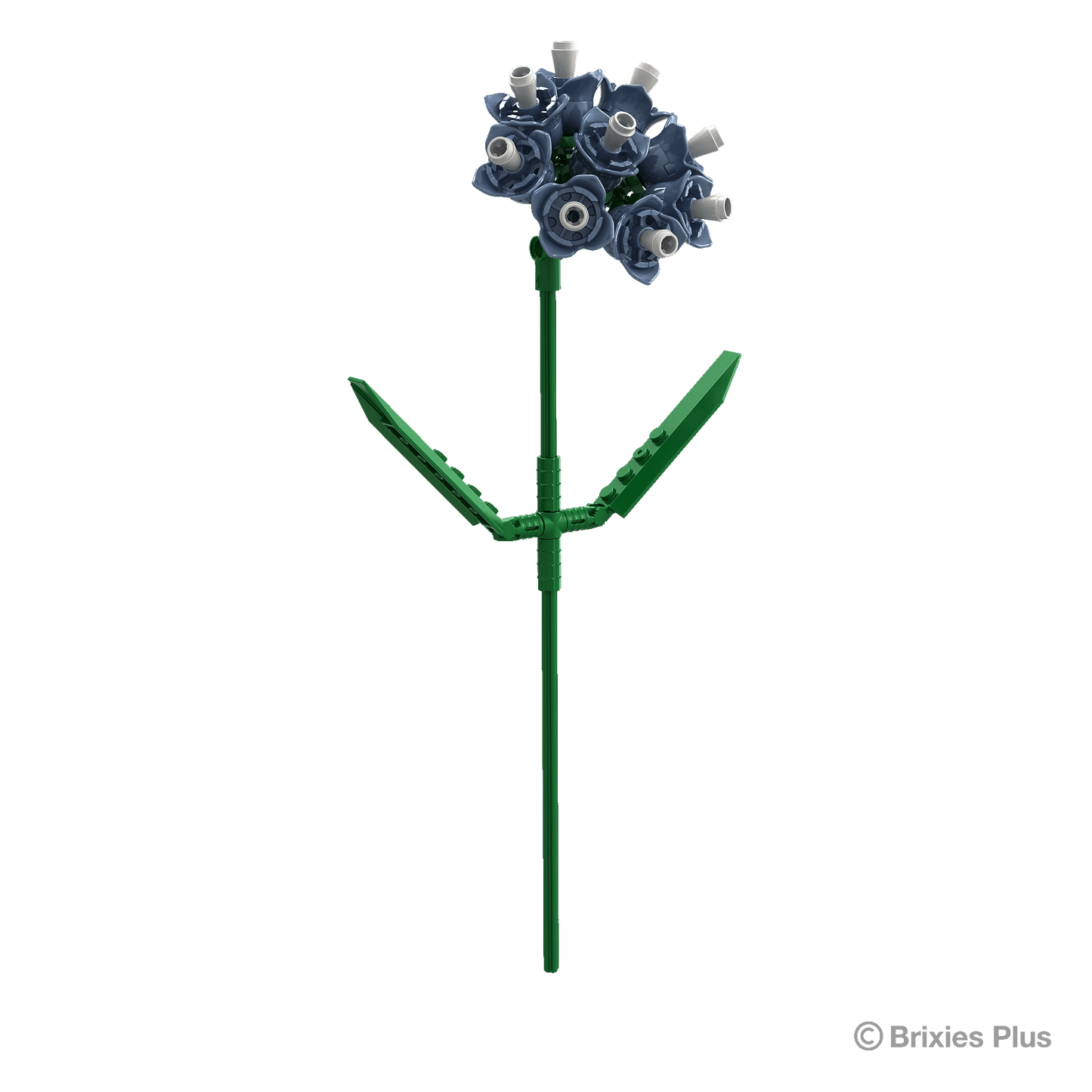 BRIXIES Plus Flowers Sea Lavender