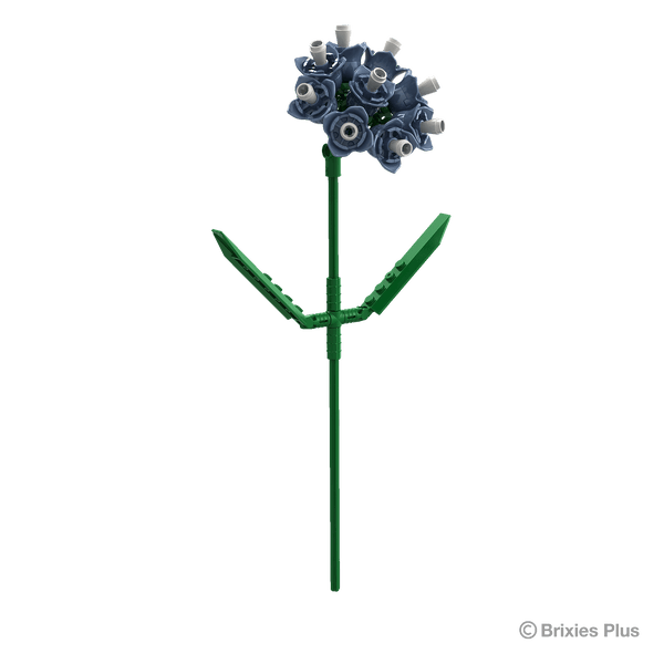 BRIXIES Plus Flowers Sea Lavender