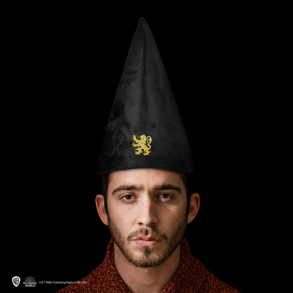 *Gryffindor Student Hat