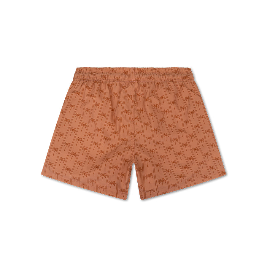 Swim Shorts - Brown - Palm Stripe - Adult