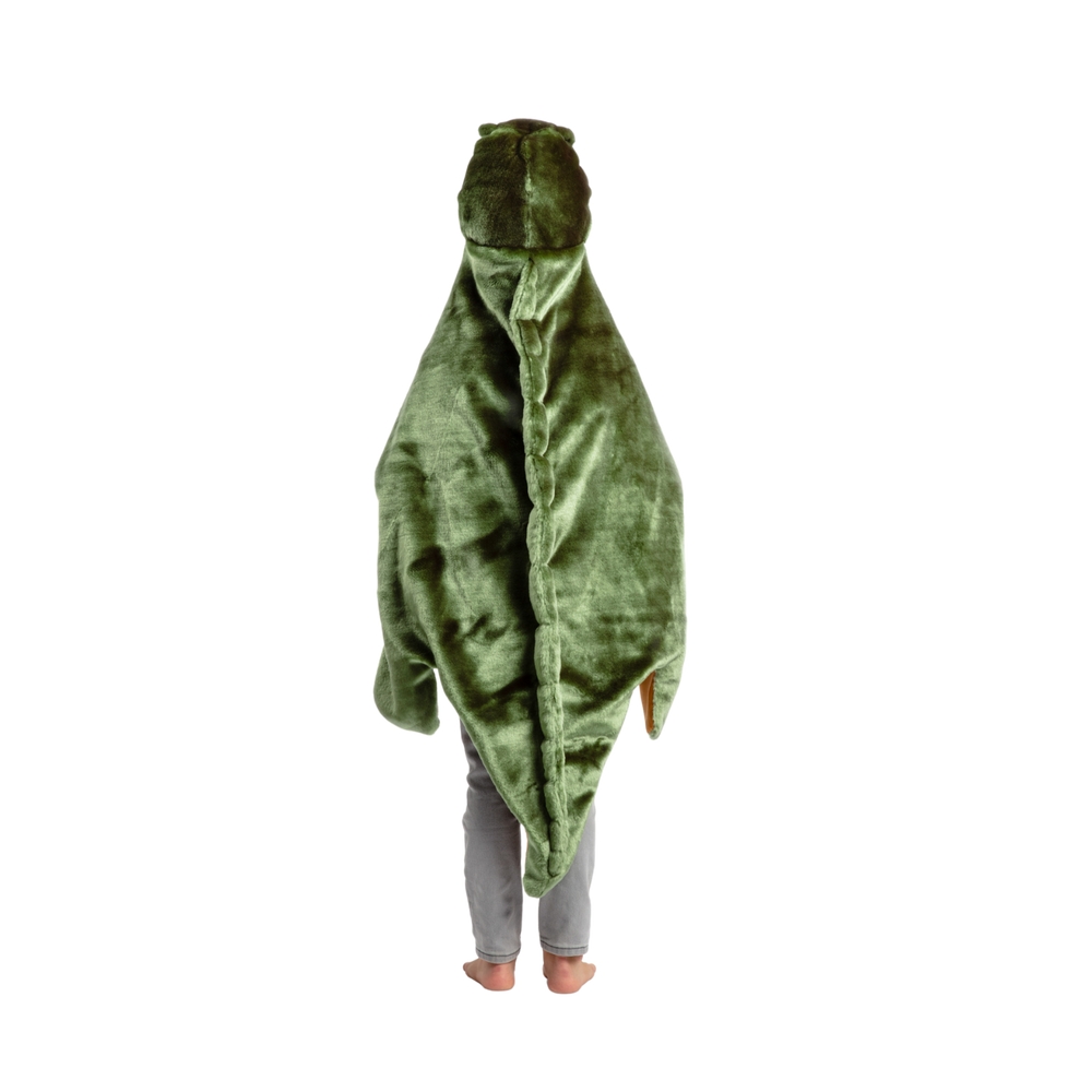 Déguisement enfant T-Rex