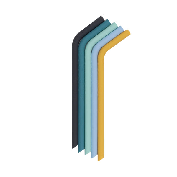 Sun & Sky silicone straws set