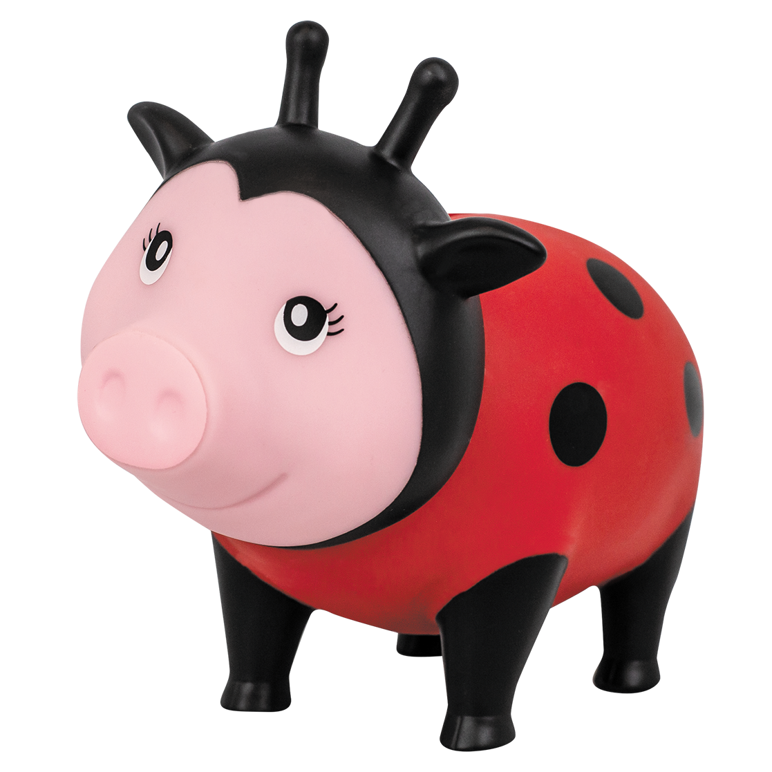 Pig Ladybug