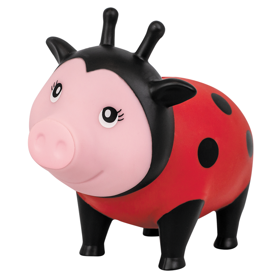 Ladybug