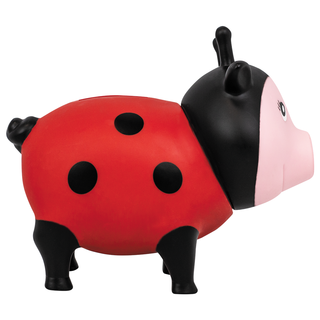 Pig Ladybug