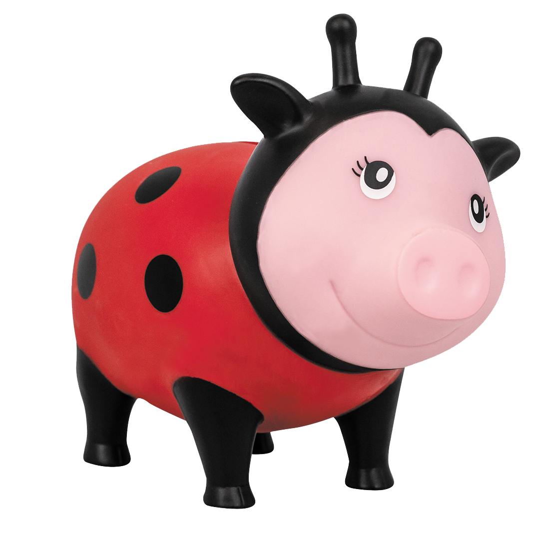 Pig Ladybug