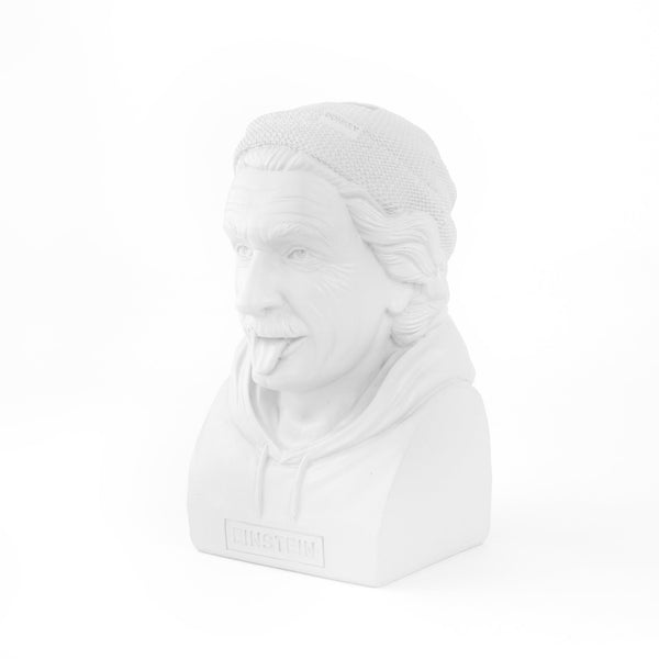 Einstein Sparschwein - Historischer Hipster