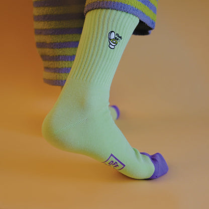 Chaussettes Brodées Toilettes « Flush Me »
