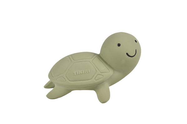 My first marine animal turtle
