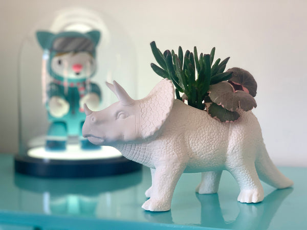 Pot de Fleur Dinosaure Tricérapot – Bitten
