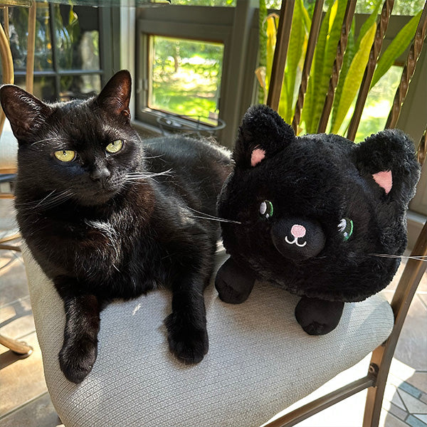 Peluche Mini Squishable – Chat Noir