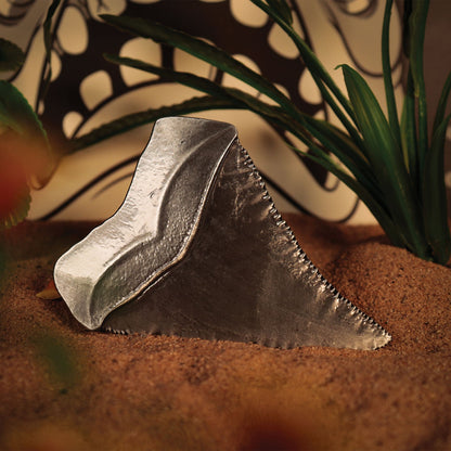 Médaillon collector Les Dents de la Mer - 50th Anniversary Shark ToothMMédaillon collector Les Dents de la Mer - 50th Anniversary Shark ToothéMédaillon collector Les Dents de la Mer - 50th Anniversary Shark ToothdMédaillon collector Les Dents de la Mer - 50th Anniversary Shark ToothaMédaillon collector Les Dents de la Mer - 50th Anniversary Shark ToothiMédaillon collector Les Dents de la Mer - 50th Anniversary Shark ToothlMédaillon collector Les Dents de la Mer - 50th Anniversary Shark ToothlMédaillon colle
