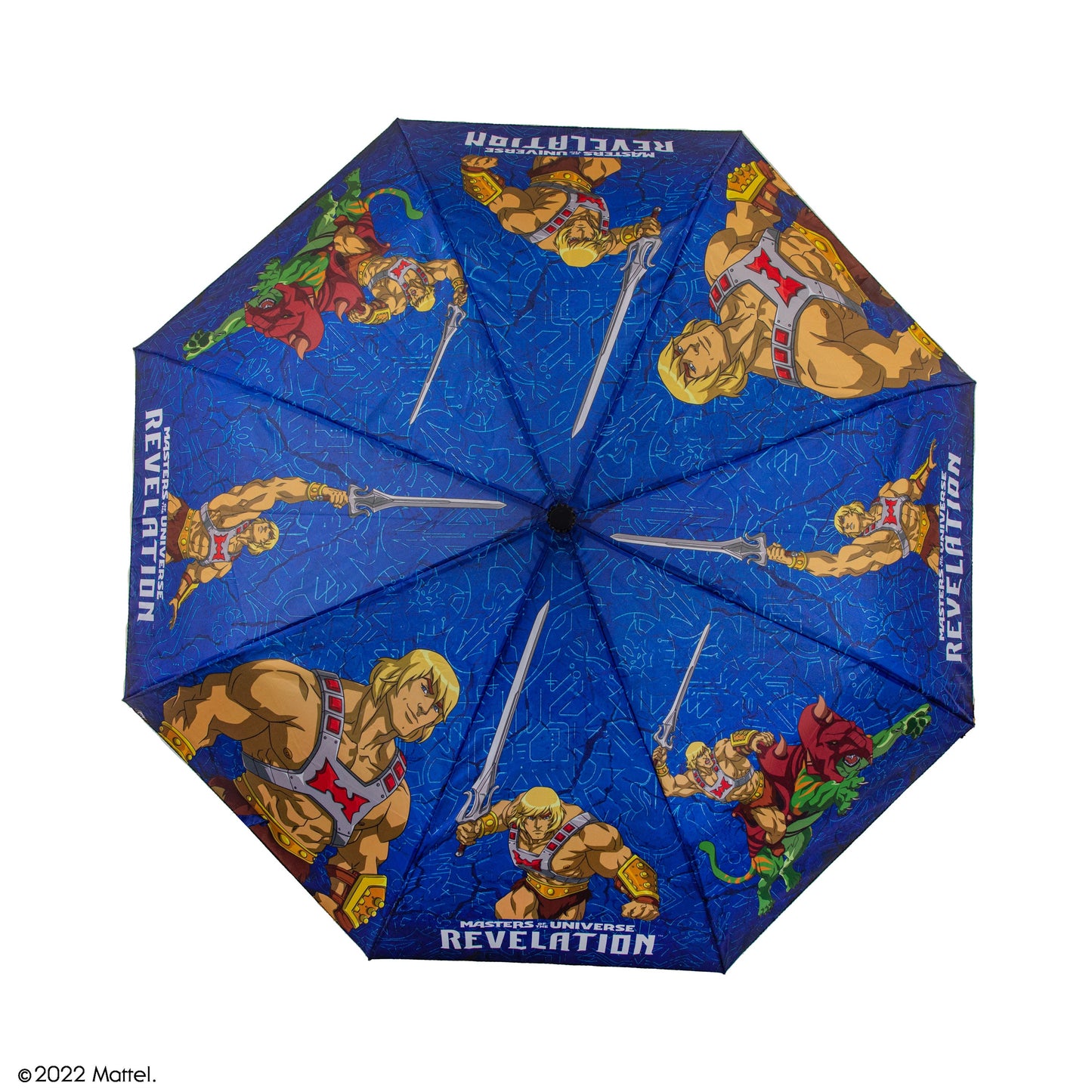 *He-Man Umbrella and his Battle Cat