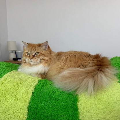 Peluche Massive Squishable – Chenille