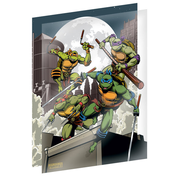 Fan-cel collector Les Tortues Ninja