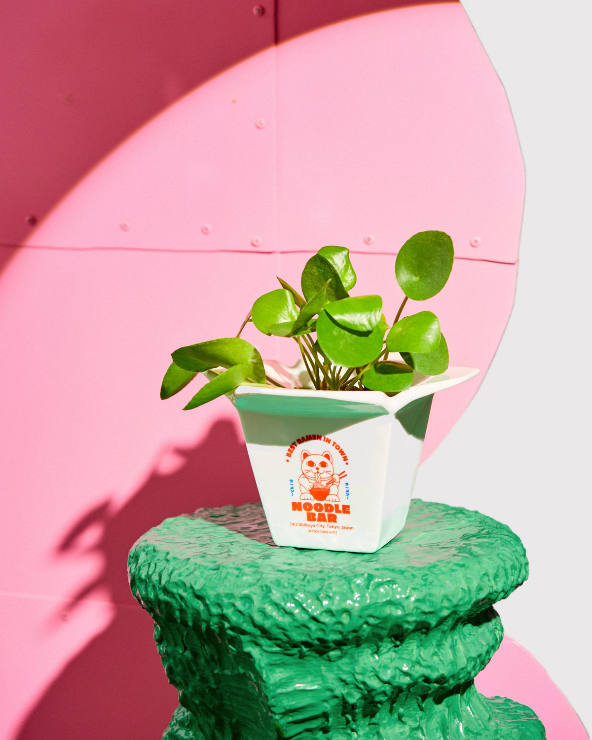 Cache pot / Vase Ramen