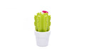 Luce notturna a forma di fiore di cactus