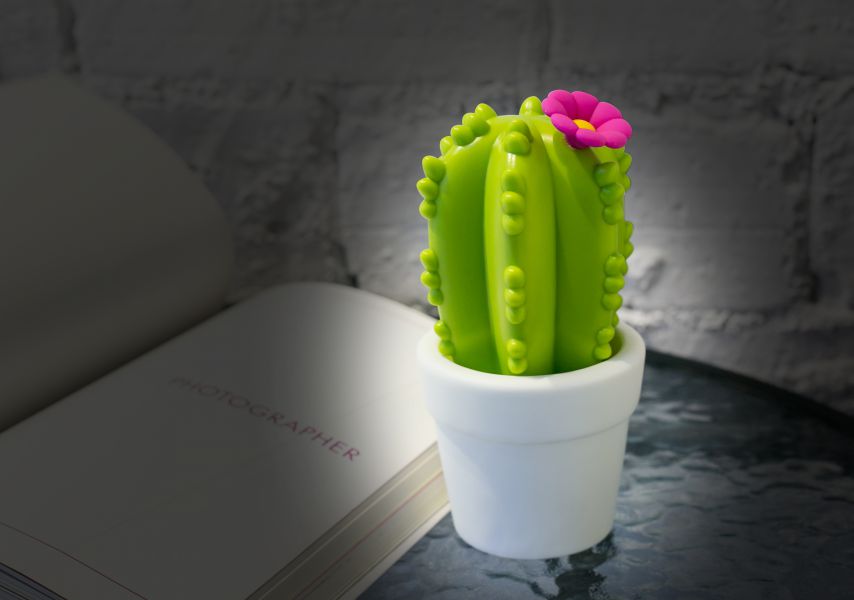 Luce notturna a forma di fiore di cactus