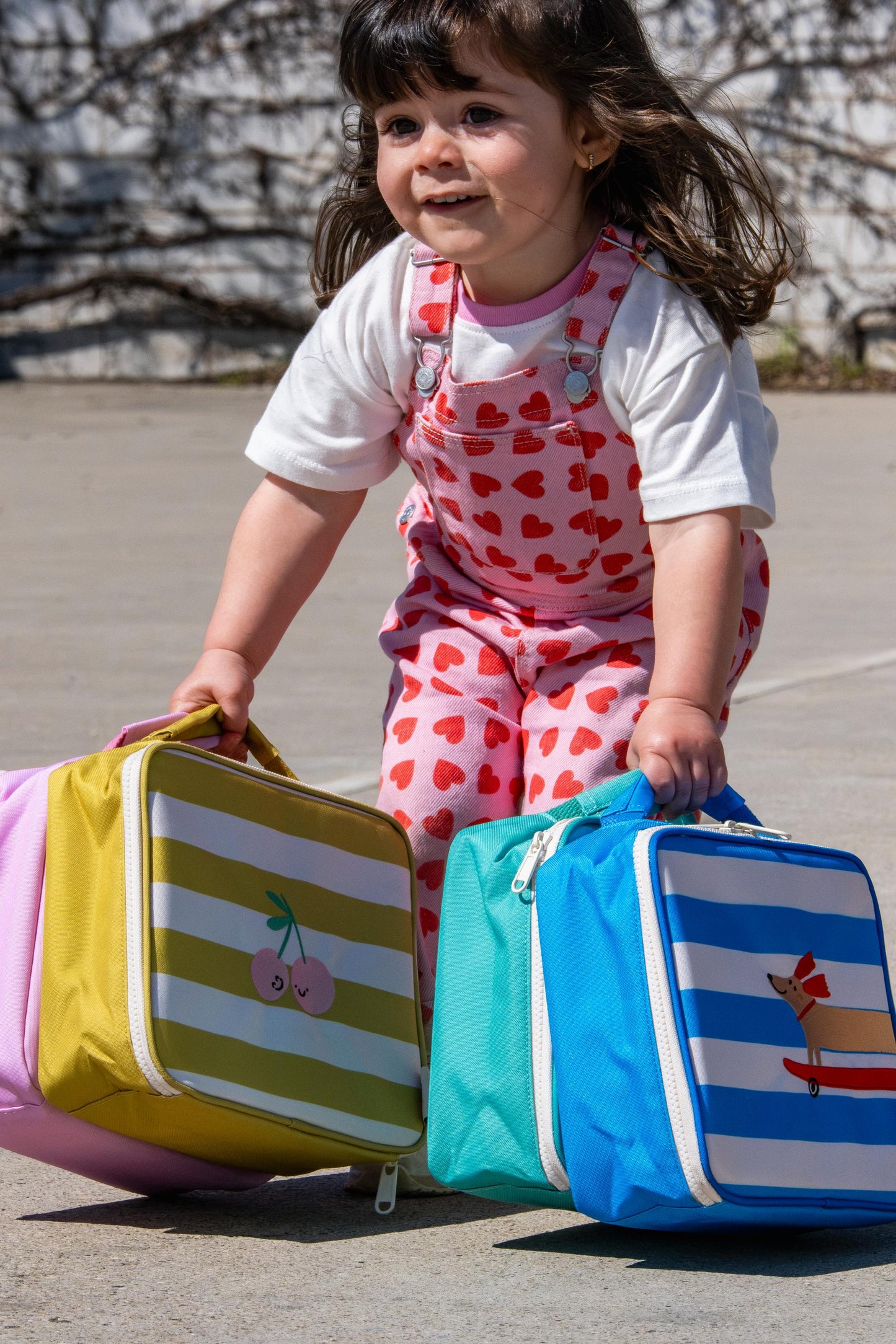 <tc>CHERRY Back-to-School Pack</tc>