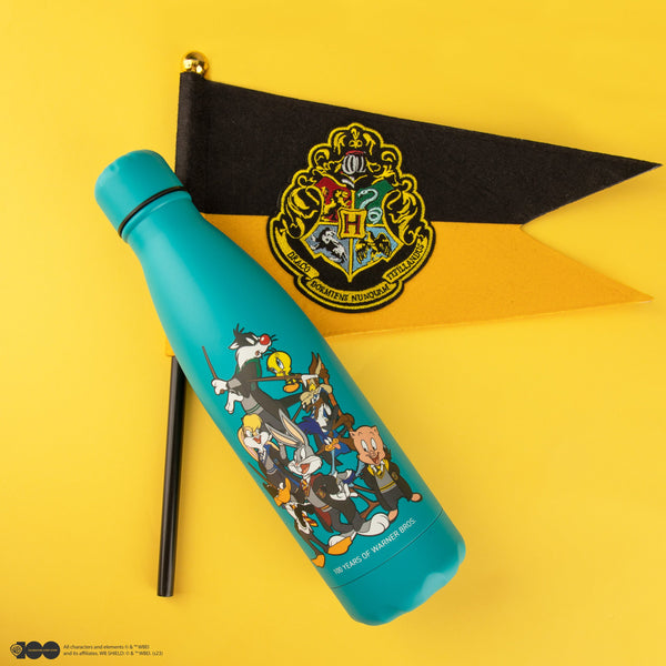 *Looney Tunes Hogwarts Insulated Bottle