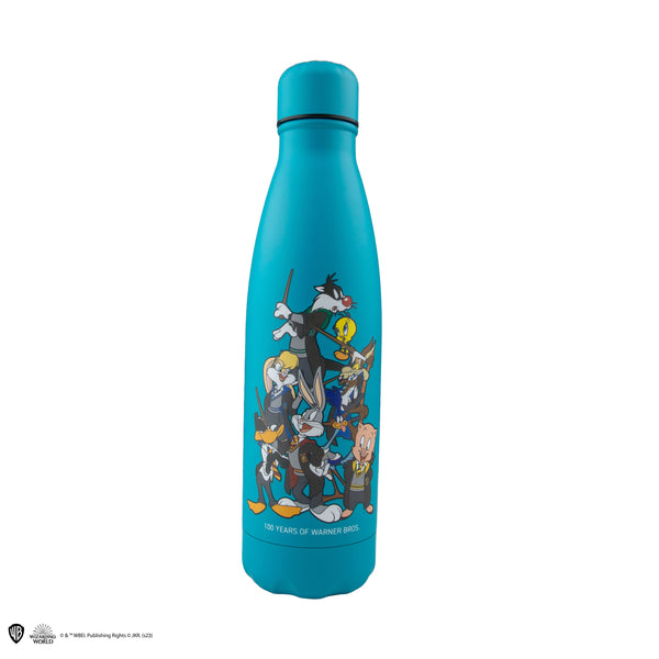 *Looney Tunes Hogwarts Insulated Bottle