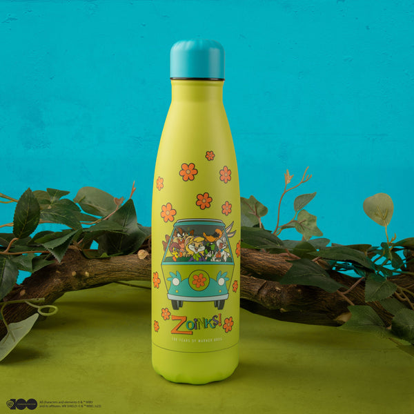 *Looney Tunes Scooby-Doo Insulated Water Bottle