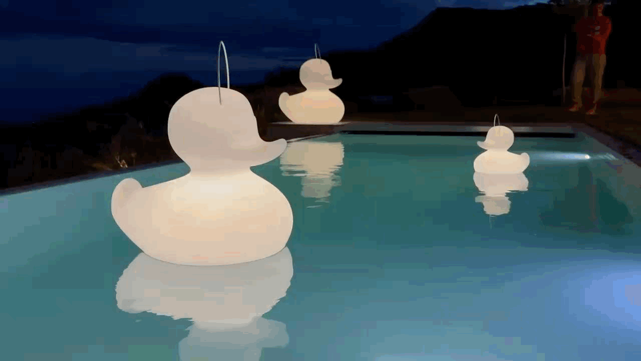Lampe Canard DUCK-DUCK [XL]