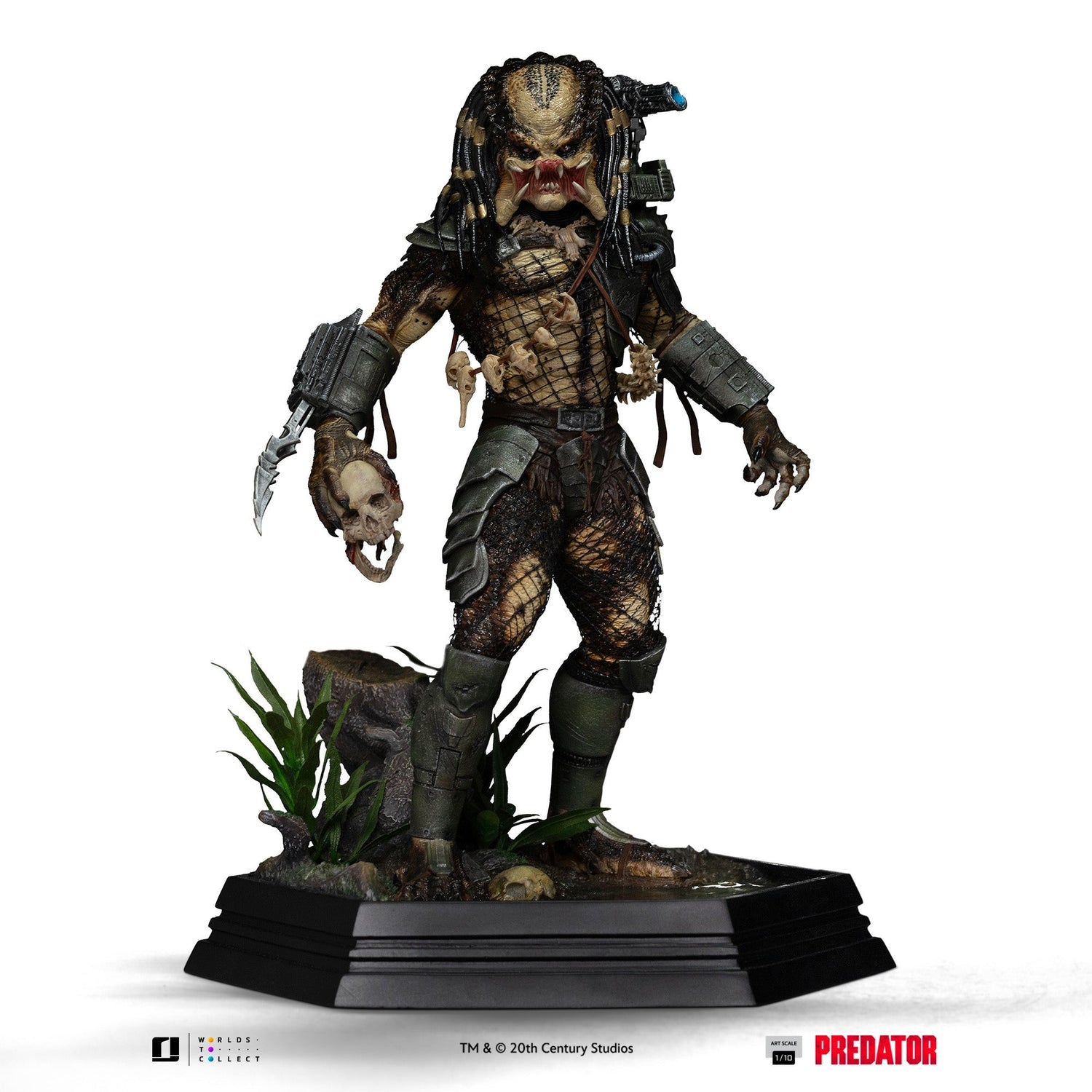 Predator