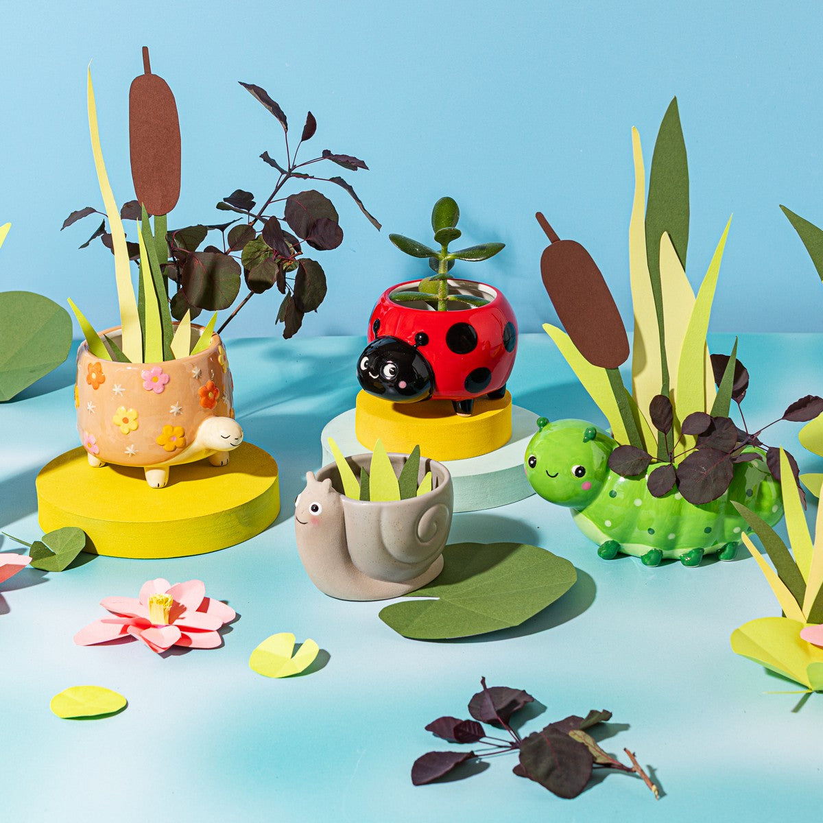 Turtle planter