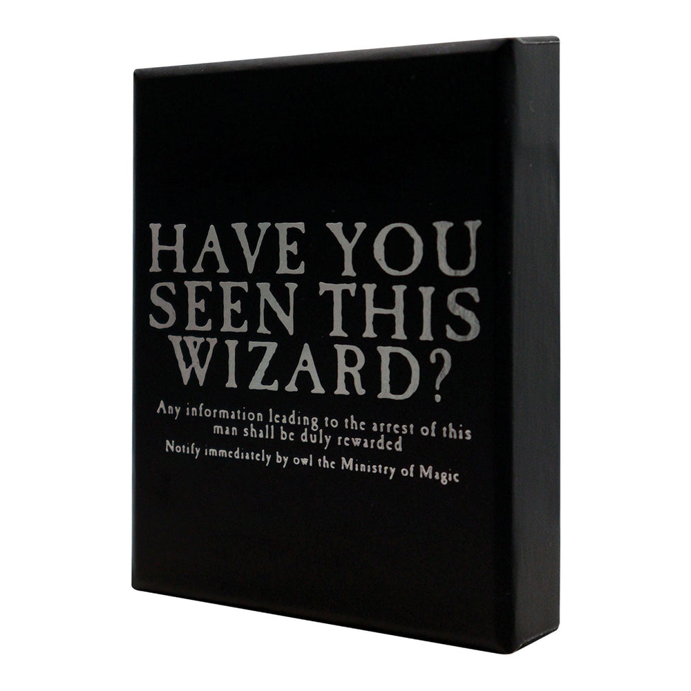 Collier Harry Potter- Prison d'Azkaban