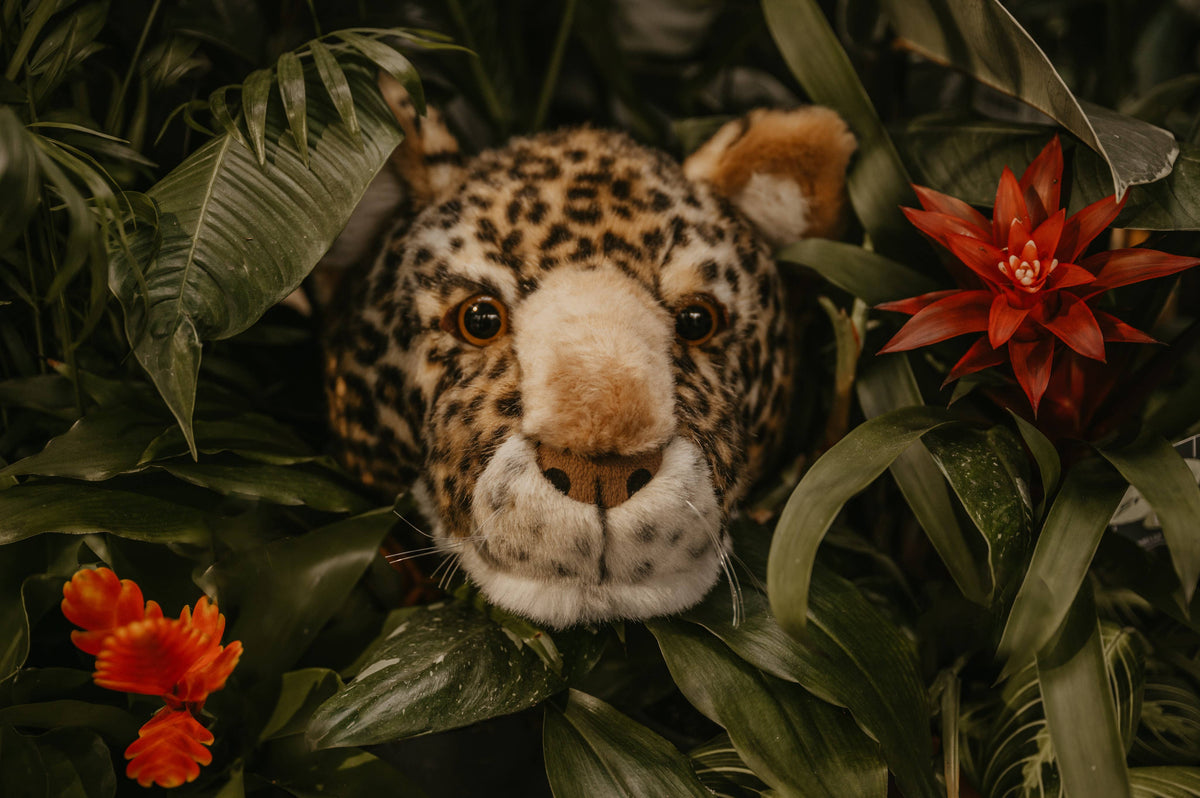 Charlie il leopardo: decorazione da parete - testa media
