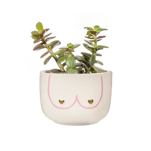 Large Power Boobies Planter
