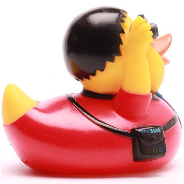 Canard Photographe
