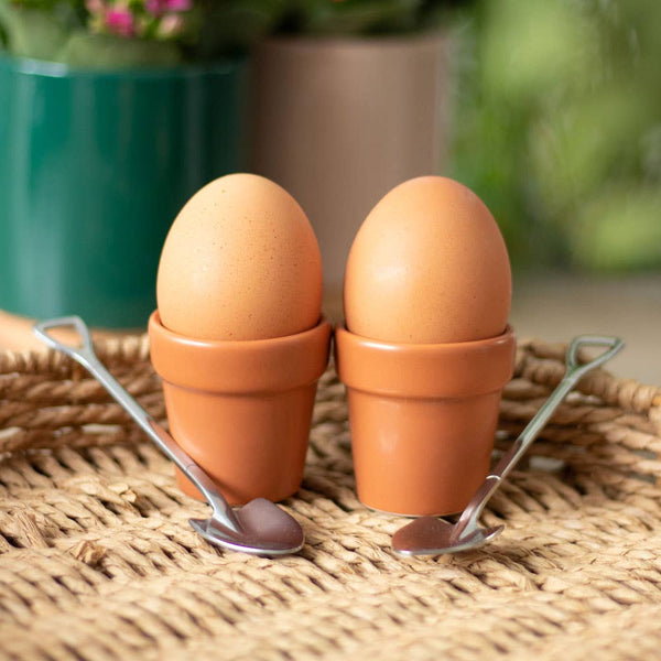 Egg cups Flower pots with spoons