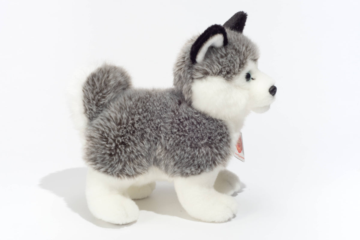 Peluche Husky in Piedi