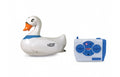White Swan RC
