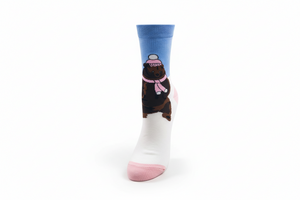 Winterbärensocken