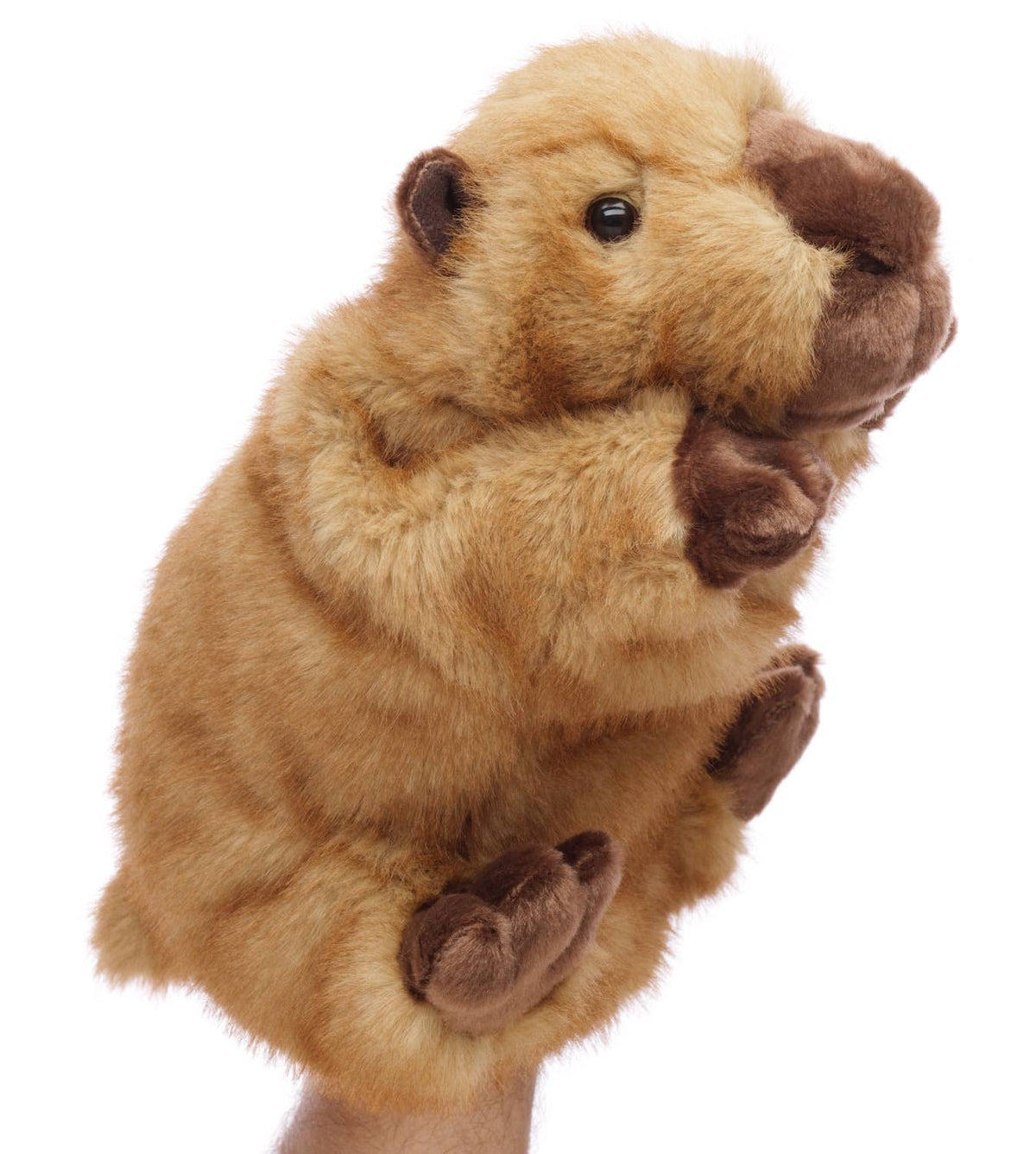Marionnette à main capybara