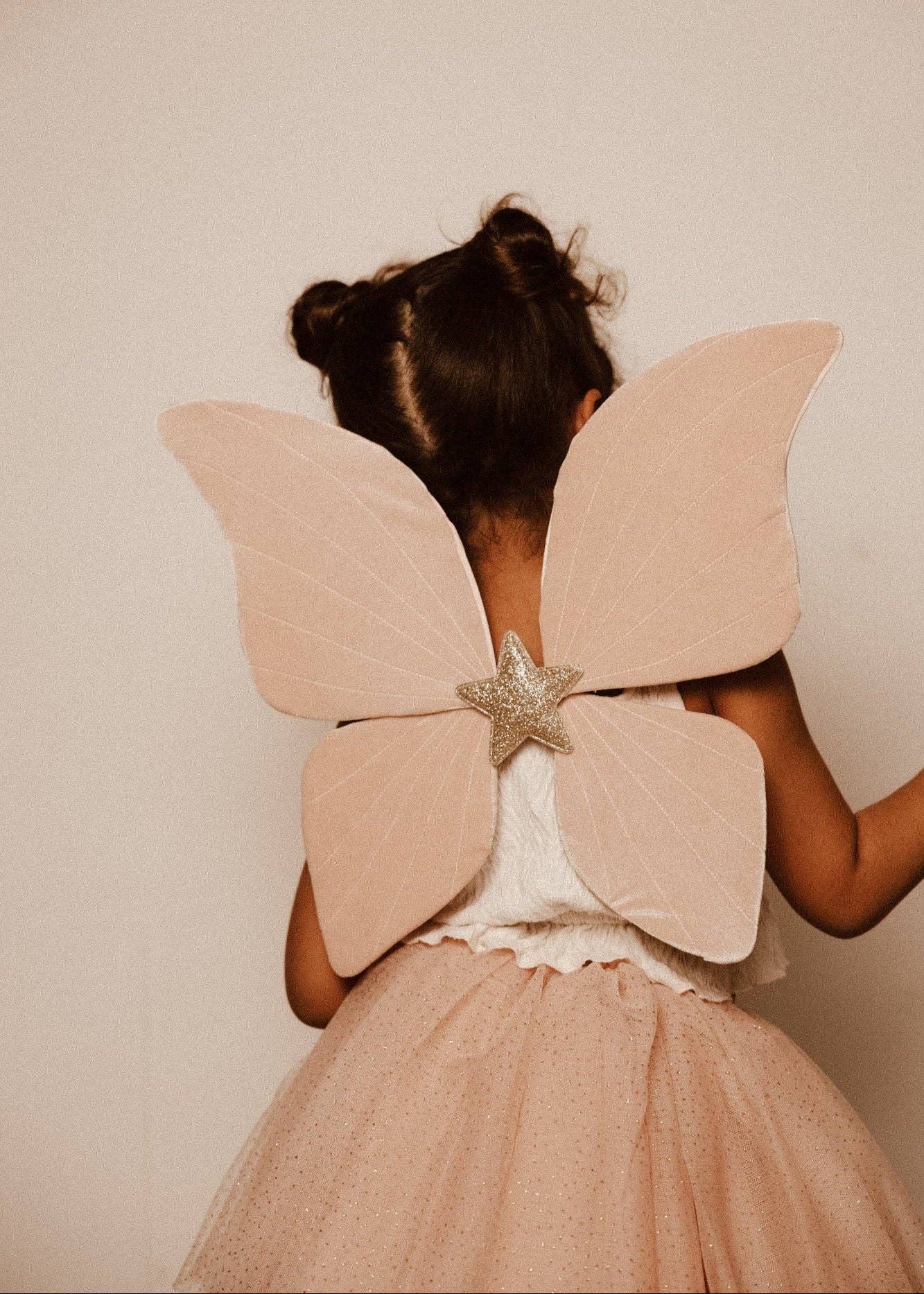 Le Papillon Rose - Déguisement de Papillon