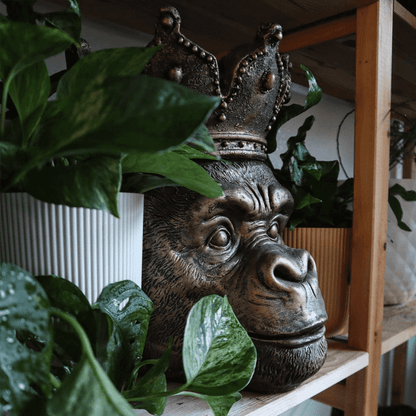 Kong monkey head, gold