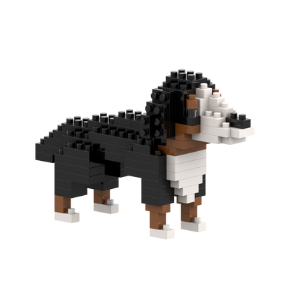 Brixies Saint Bernard