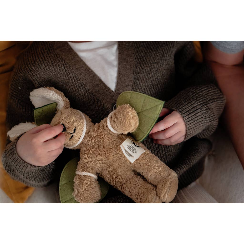 Ensemble d'ailes | S'envoler haut