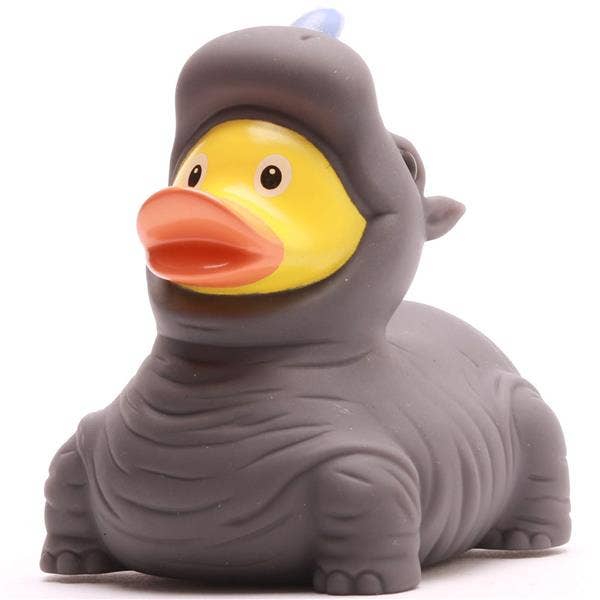 Canard rhinocéros