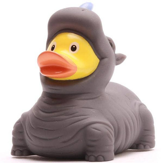 Canard rhinocéros