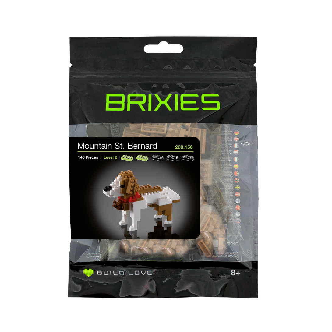 Brixies Saint Bernard