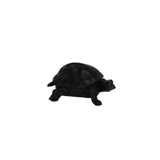 Turtle Box - Black